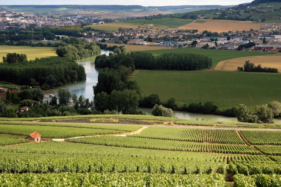 From Paris: Private Champagne Tour, Tastings at Moet&Chandon - A guide who stays with you all day