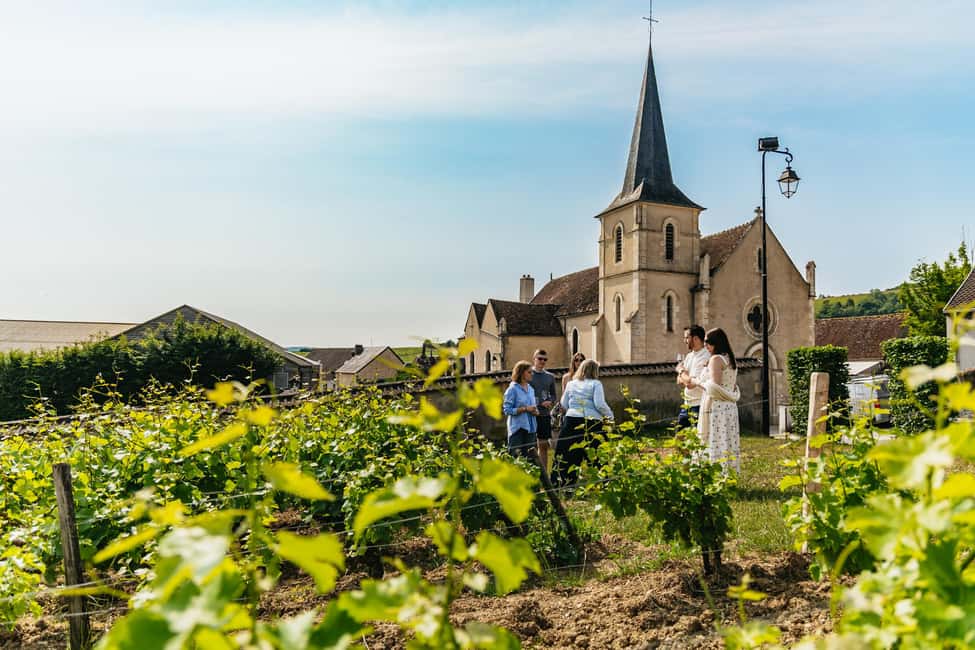 From Paris: Private Sancerre Wine Tour w 10 Tastings & Lunch - Cellars, Family Wineries, and Ten or More Tastings