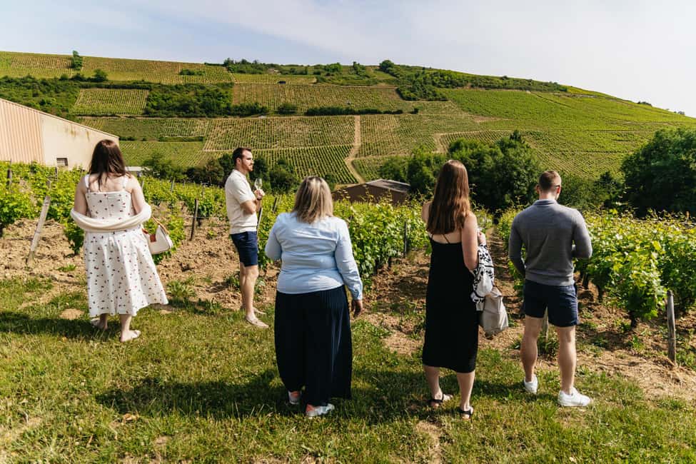 From Paris: Private Sancerre Wine Tour w 10 Tastings & Lunch - Who Will Enjoy This Sancerre Day Trip?
