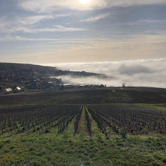 From Paris: Reims and Champagne Tasting Full-Day Tour - Marne Photo Stop and the Vineyard Learning Moment