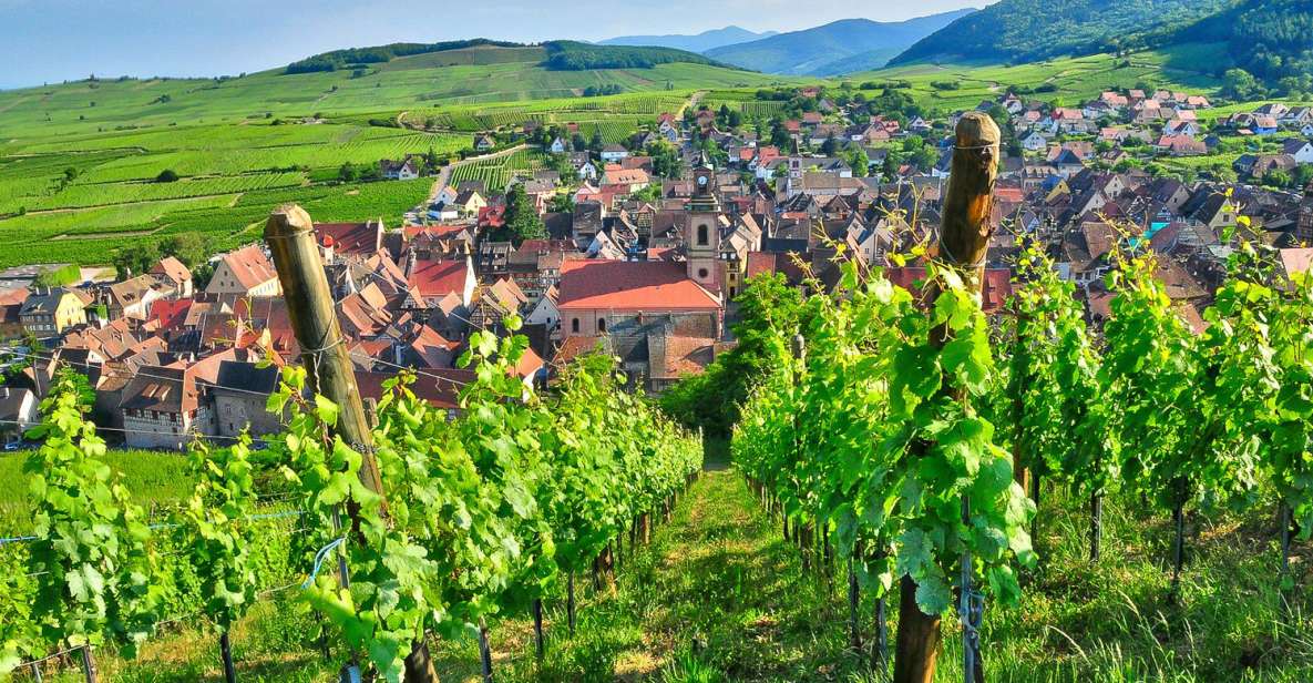 From Paris: Small-Group Champagne Day Trip with Six Tastings - Key things I’d circle on your calendar