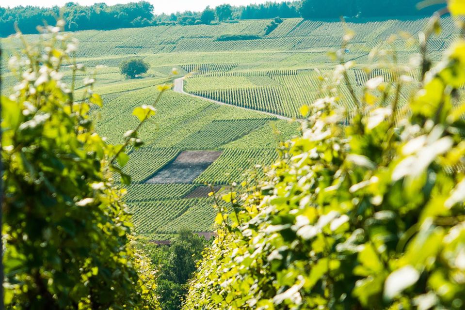 From Paris: Small-Group Champagne Day Trip with Six Tastings - The 7 AM Departure: Why the early start works