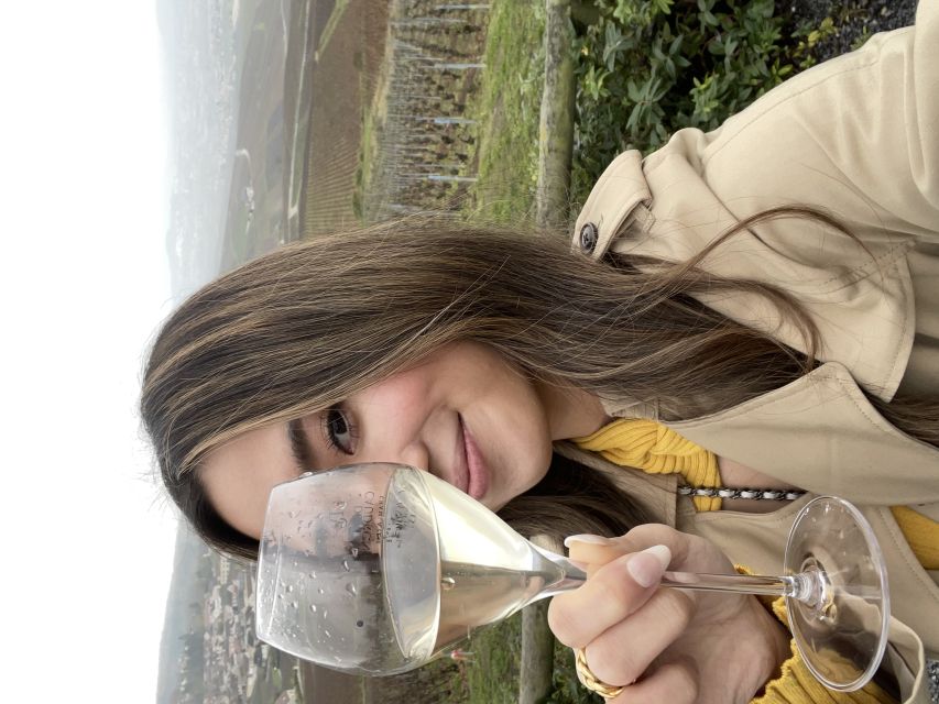 From Paris: Small-Group Champagne Tour with 3-Course Lunch - Price and value: what $411 really buys