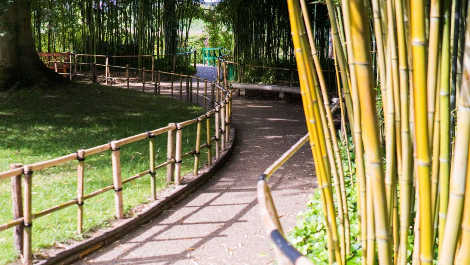 From Paris: Versailles and Giverny Full-Day Trip - The Guide Makes the Difference: History Without the Lecture Mode