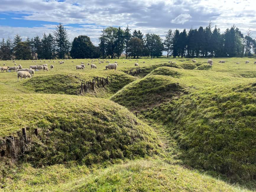 From Paris : WWI Somme Battlefields with Licensed Guide - Why the Somme makes a worthwhile day from Paris