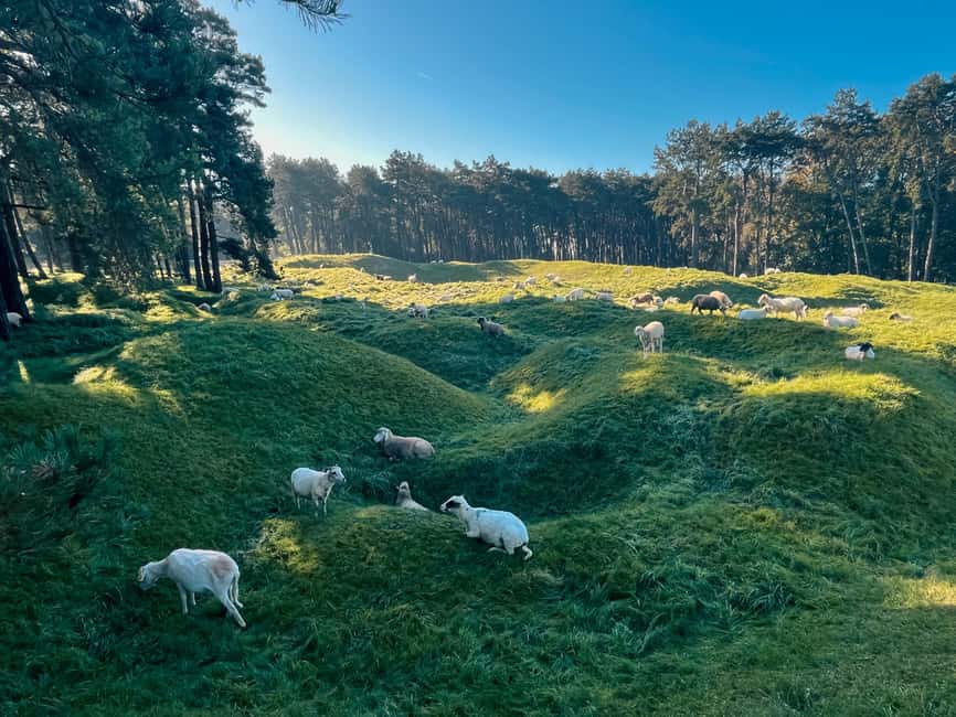 From Paris : WWI Vimy Battlefields - Private Tour - Is $707 per person a fair price?