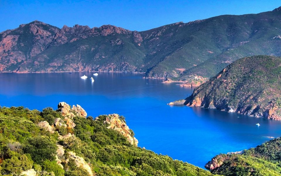 From Porto: Piana Creeks and Scandola Semi-Rigid Boat Tour - Key things you’ll notice right away