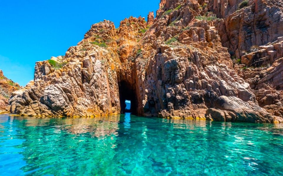 From Porto: Piana Creeks and Scandola Semi-Rigid Boat Tour - Wildlife chances: dolphins and other aquatic mammals