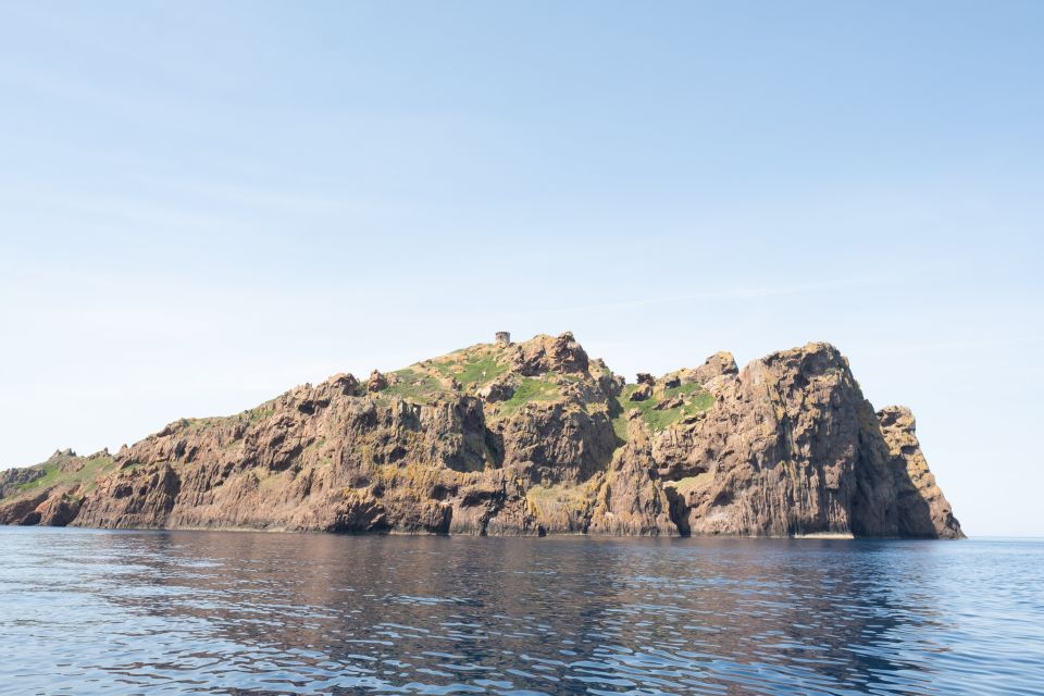 From Porto: Piana Creeks and Scandola Semi-Rigid Boat Tour - Guide and boat handling: why “timing and piloting” matters