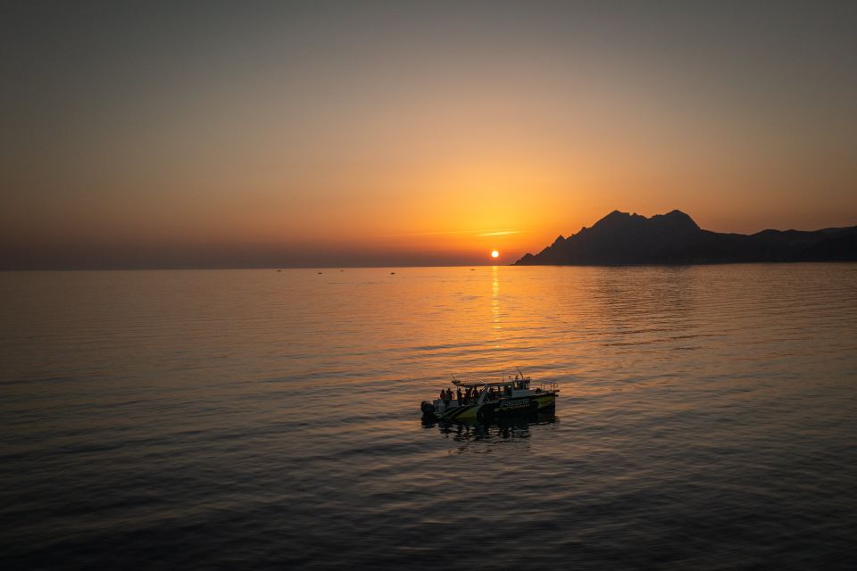 From Porto: Piana Creeks, Scandola on Family Boat - The Speedboat Ride Into Scandola Nature Reserve