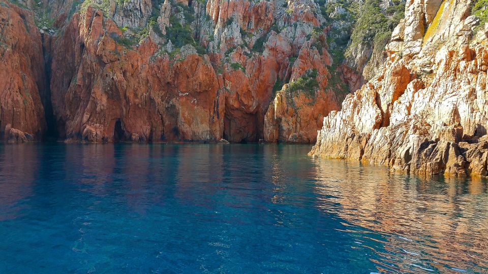 From Porto: Piana Creeks, Scandola on Family Boat - Meeting Point by Dock: What to Know Before You Go