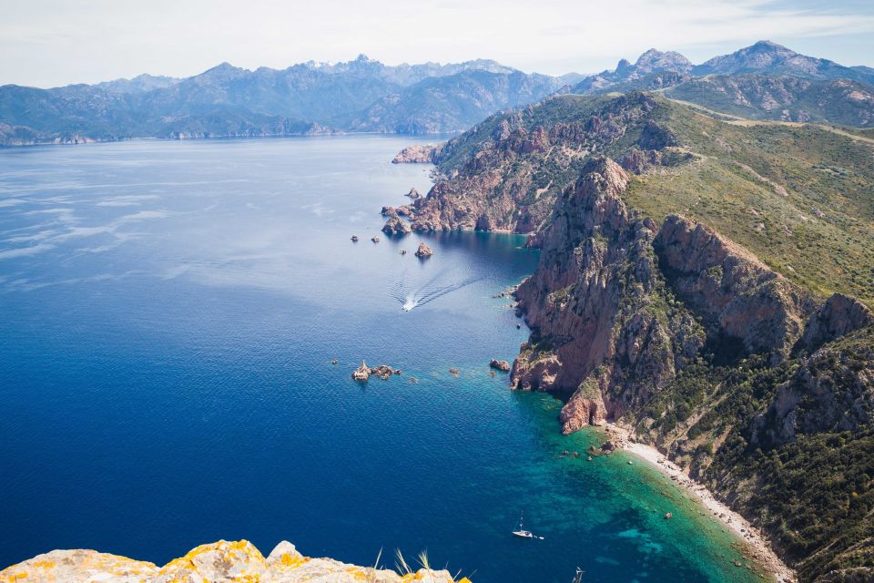 From Porto: Scandola and Calanche de Piana Boat Tour - Price value: what $82 includes and what you’re paying for