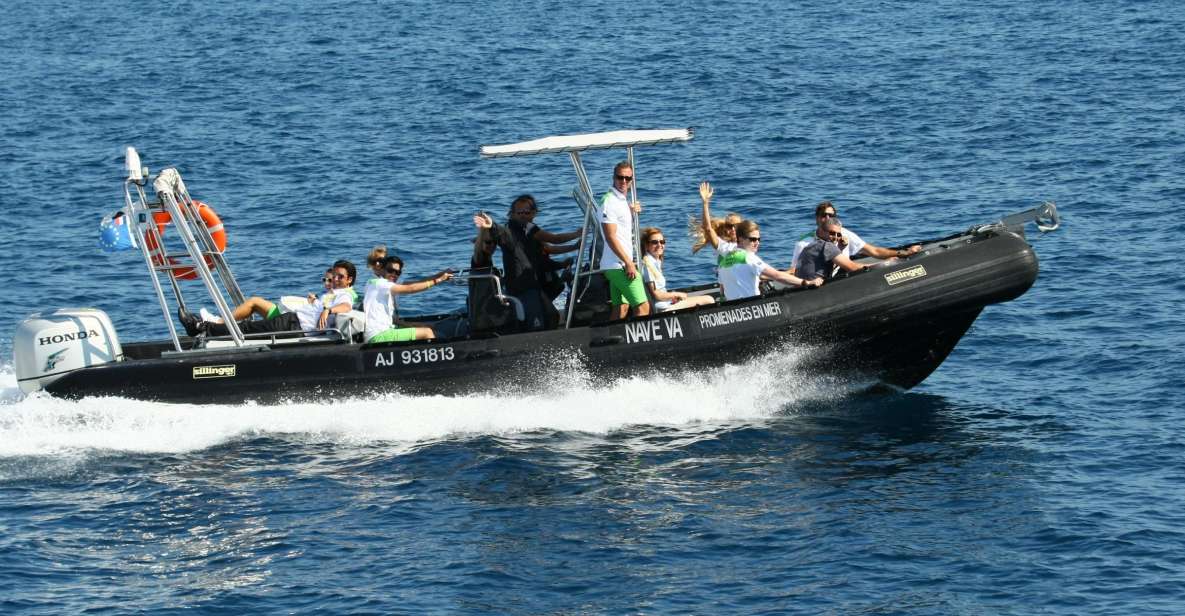 From Porto: Scandola and Calanche de Piana Boat Tour - My call: should you book this Scandola and Calanche tour?