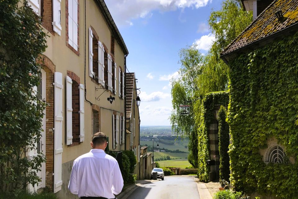 From Reims: Champagne and Family-Run Wineries Tour - Two family wineries: six tastings built for real comparison