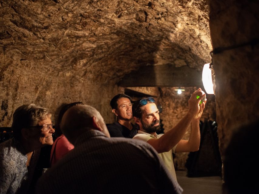 From Reims: Champagne and Family-Run Wineries Tour - The UNESCO vineyard stop: what to notice from the views