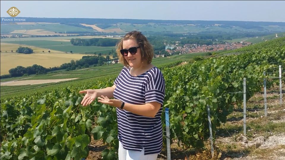 From Reims: Champagne Day Trip to 3 Family Domains & Lunch - From Reims Gare to the Champagne Roads: A Tight, Friendly 8-Hour Loop