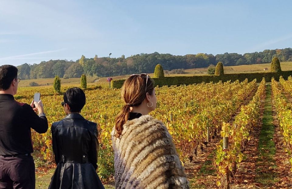 From Reims: Champagne Day Trip to 3 Family Domains & Lunch - The Value Equation: Why $283 Can Make Sense for This Day Trip