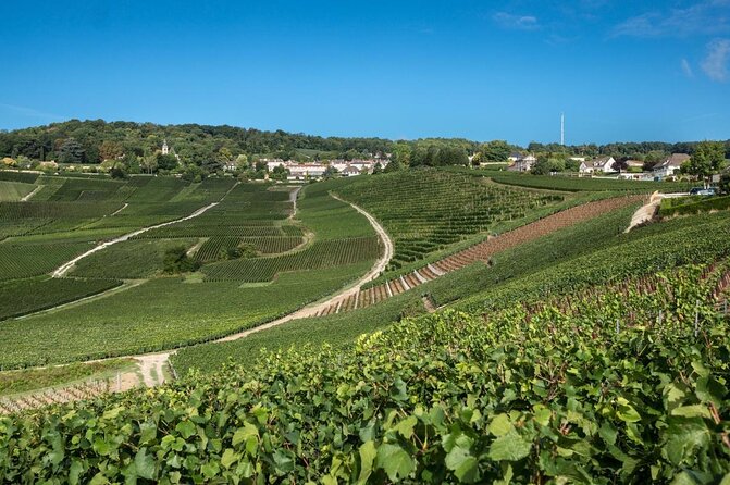 From Reims: Champagne Small-Group tour with tastings & Lunch - From Reims at 11:15: how the timing really works