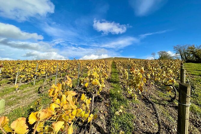From Reims: Champagne Small-Group tour with tastings & Lunch - Tips to make your Champagne day smoother (and more fun)