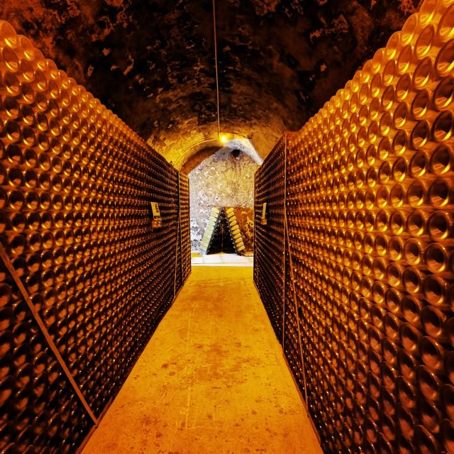 From Reims: Day Trip to Veuve Clicquot Family Grower & Lunch - Reims sightseeing: quick orientation before the serious stuff