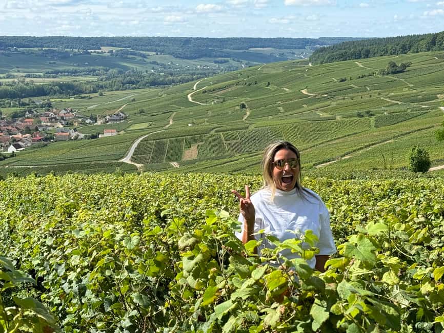 From Reims/Epernay:The Connoisseurs Private Tour 9 tastings - A short pass along Epernay’s Avenue de Champagne