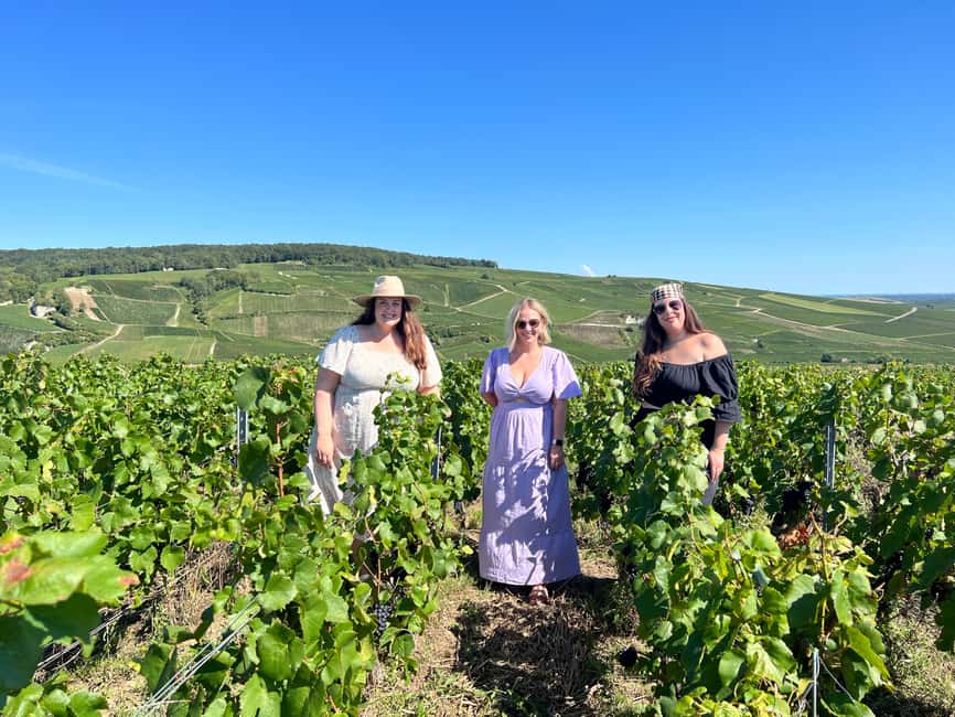 From Reims/Epernay:The Connoisseurs Private Tour 9 tastings - Oger and three local Champagne spirits
