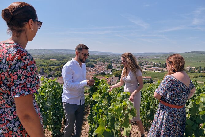 From Reims morning Champagne family growers - Price and value: $139.13 for a focused, producer-based morning