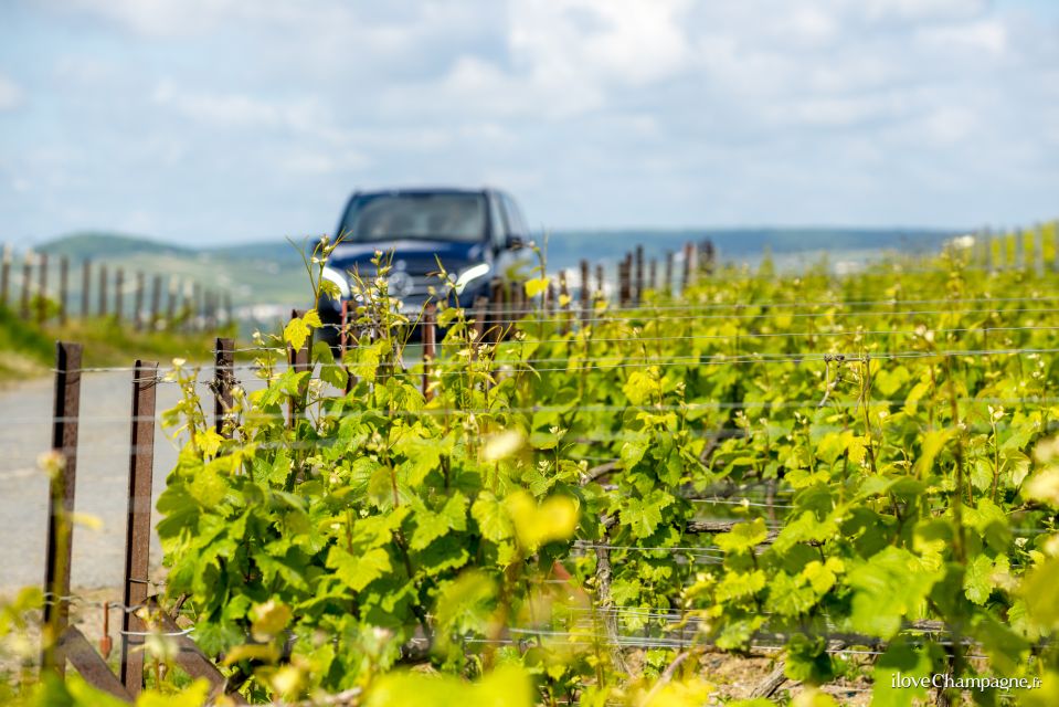 From Reims: Morning Champagne Tour and Tastings - Key Things That Make This Tour Worth Your Morning