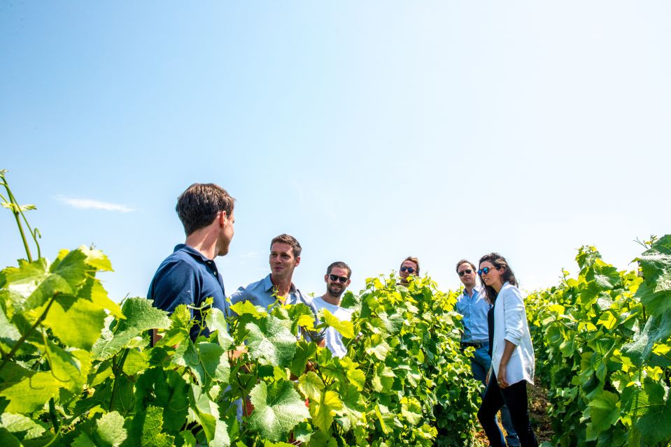 From Reims: Morning Champagne Tour and Tastings - Comfort Checklist Before You Go: Shoes, Jacket, and Cellar Chill