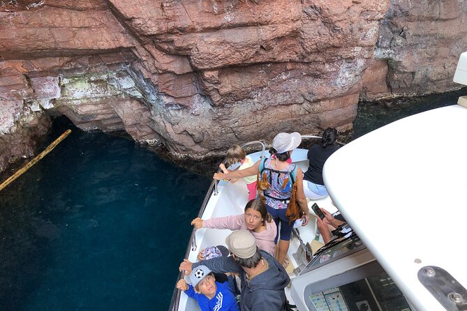 From Sagone/Cargèse: Scandola Calanques Piana Girolata Swimming - Gulf of Porto From the Water: Red Cliffs and Real Biodiversity