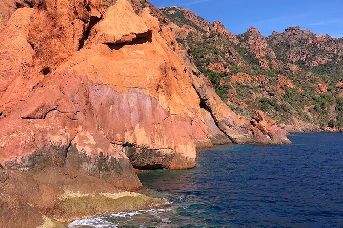From Sagone/Cargèse: Scandola Girolata Calanques Piana Snorkeling - Price and value: what $96.75 buys you
