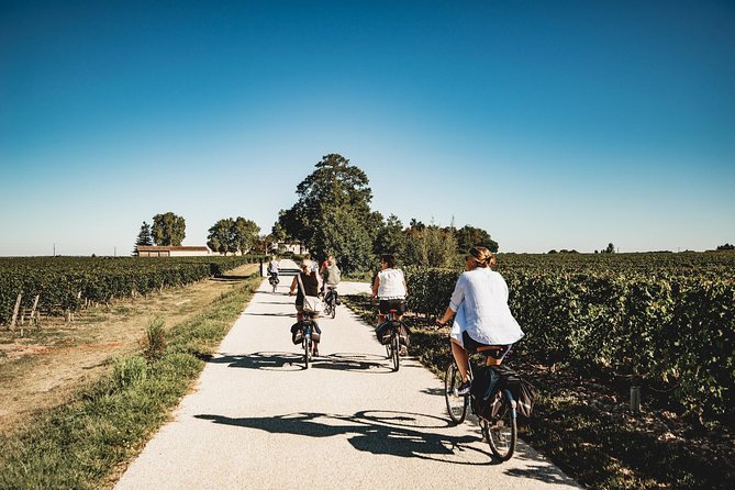 From Saint-Emilion : Electric Bike Day Tour with Wine Tastings and Picnic Lunch - Key things that make this tour worth a look