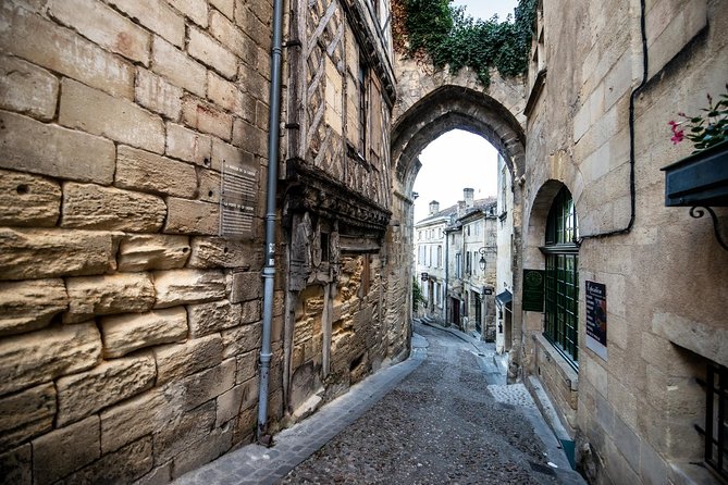From Saint-Emilion : Electric Bike Day Tour with Wine Tastings and Picnic Lunch - Bike readiness and the one thing to check before you ride