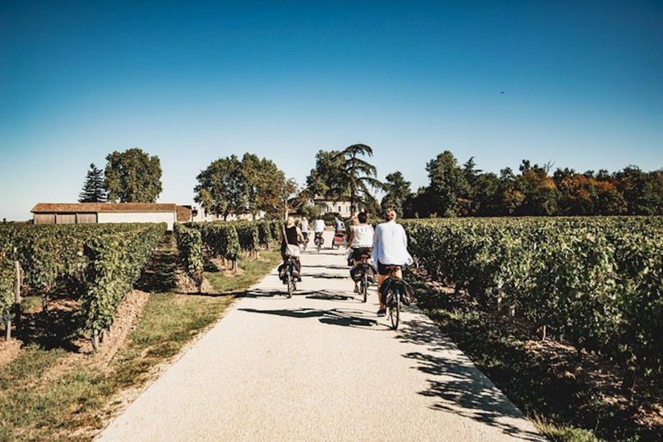From Saint-Emilion : Half Day Electric Bike Tour - Key moments that make this tour worth your time
