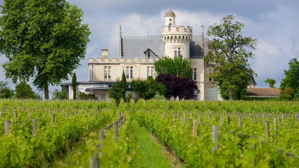 From San Sebastián: Bordeaux & Winery Private Guided Tour - Why this day trip works for wine lovers