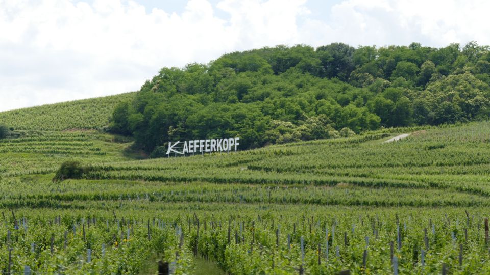 From Strasbourg: Best Of Alsace Historical Day Trip - Key takeaways before you go