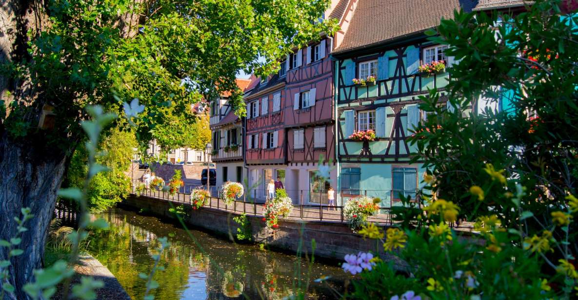 From Strasbourg: Best Of Alsace Historical Day Trip - Haut-Koenigsbourg practical notes: plan for walking and queues