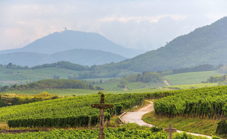 From Strasbourg: Full-Day Highlights of the Alsace Tour - Group size, pace, and van comfort in an 8-hour day