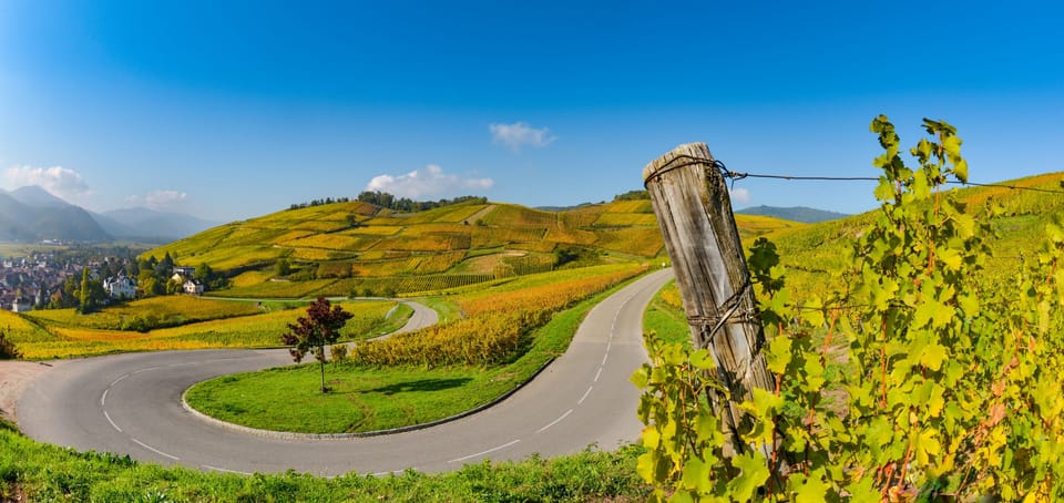 From Strasbourg: Half-Day Tour of Alsace Villages - Why This Half-Day Alsace Wine Route Works So Well From Strasbourg