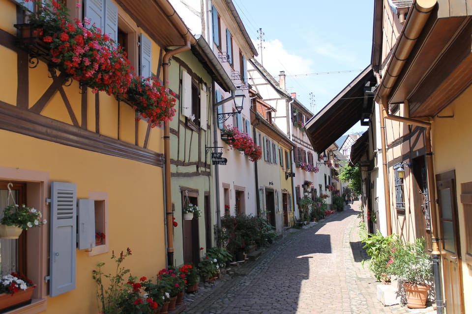 From Strasbourg: Half-Day Tour of Alsace Villages - Barr’s Vineyards, Sylvaner Talk, and Marco Folie