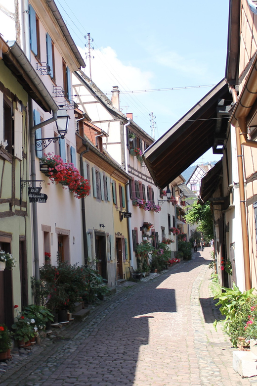 From Strasbourg: Half-Day Tour of Alsace Villages - Mittlebergheim’s Hillside Winemakers and the Arched Renaissance Town Hall
