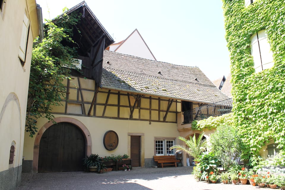 From Strasbourg: Half-Day Tour of Alsace Villages - Who Should Book This Alsace Villages Tour?