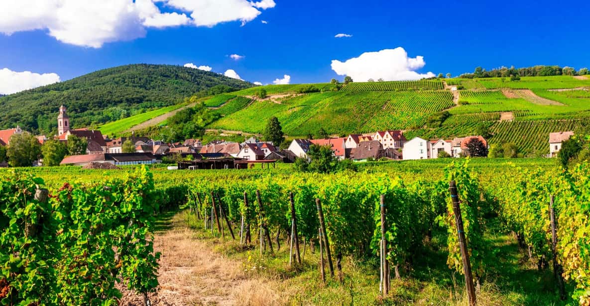 From Strasbourg: Half-Day Tour of Alsace Villages - Leaving Strasbourg in a Comfortable Minivan (and What the Timing Means)