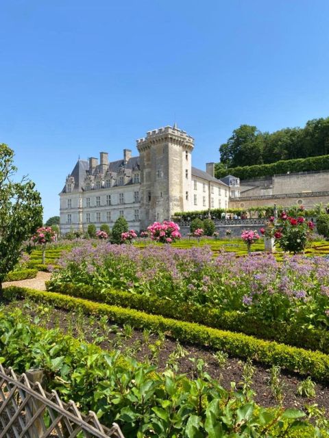 From Tours: Afternoon Loire Valley Wine Tour - Key things to know before you go
