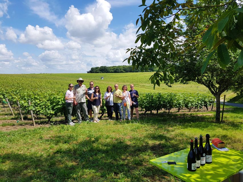 From Tours: Afternoon Loire Valley Wine Tour - A Small-Group Minivan Ride From Tours to Vouvray and Amboise