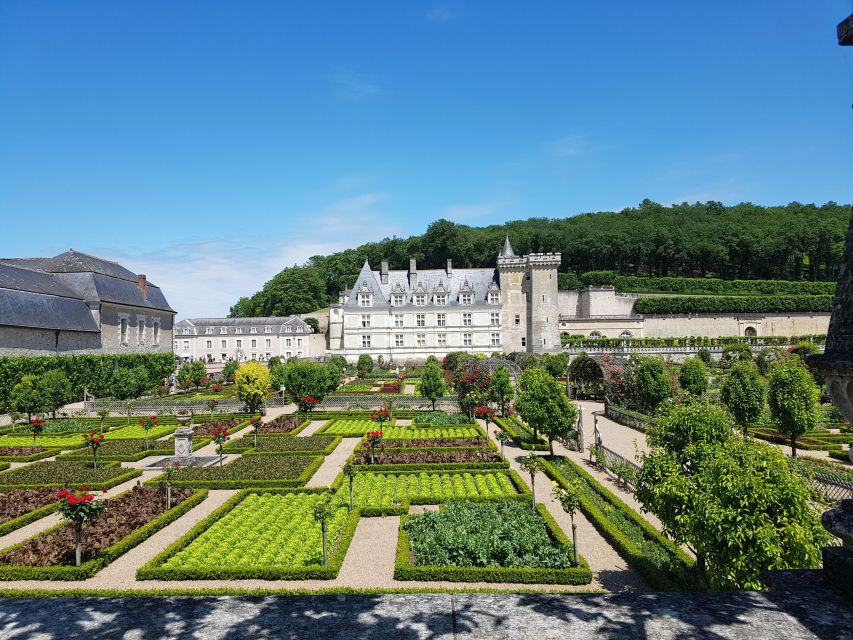 From Tours: Afternoon Loire Valley Wine Tour - Time, Pacing, and Why the Stops Feel Shorter Than You Expect