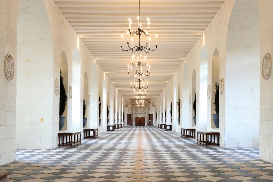 From Tours: Chenonceau and Chambord Castles Guided Tour - Who should book this Loire castles day trip