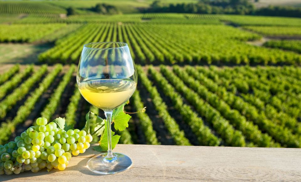 From Tours: Loire Valley Wineries Day Trip with Tastings - Key points before you go