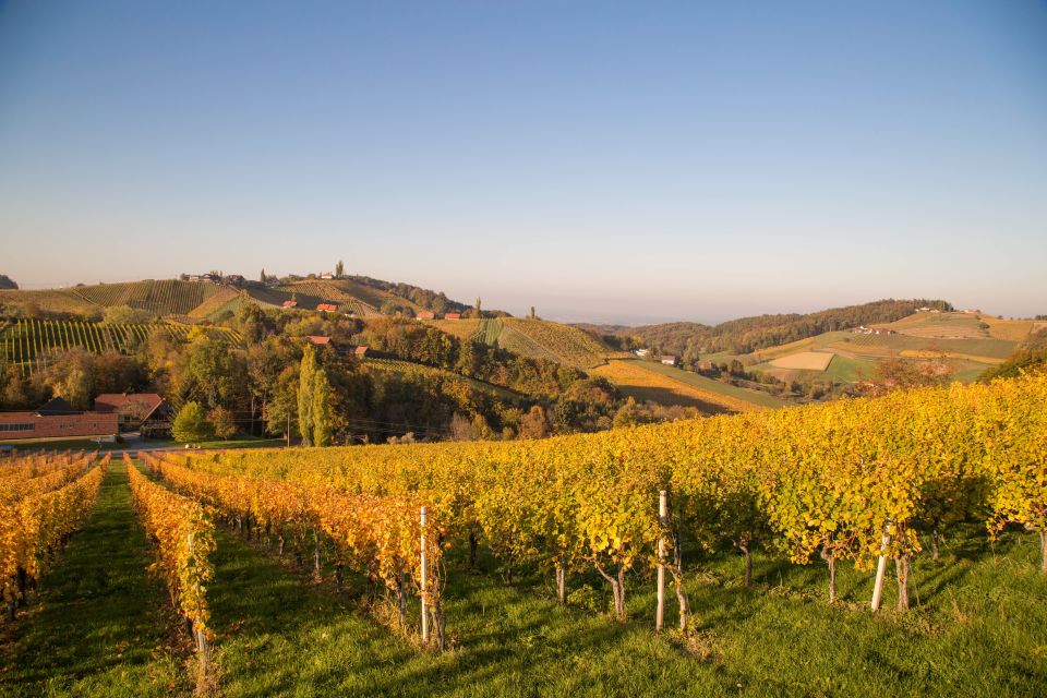 From Tours: Loire Valley Wineries Day Trip with Tastings - Loire Valley wineries from Tours: the best kind of “day trip”