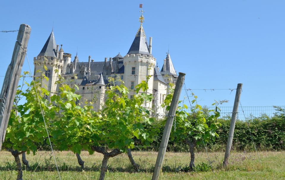 From Tours: Loire Valley Wineries Day Trip with Tastings - Stop 1: Chinon first, then Bourgueil—how the order shapes your day